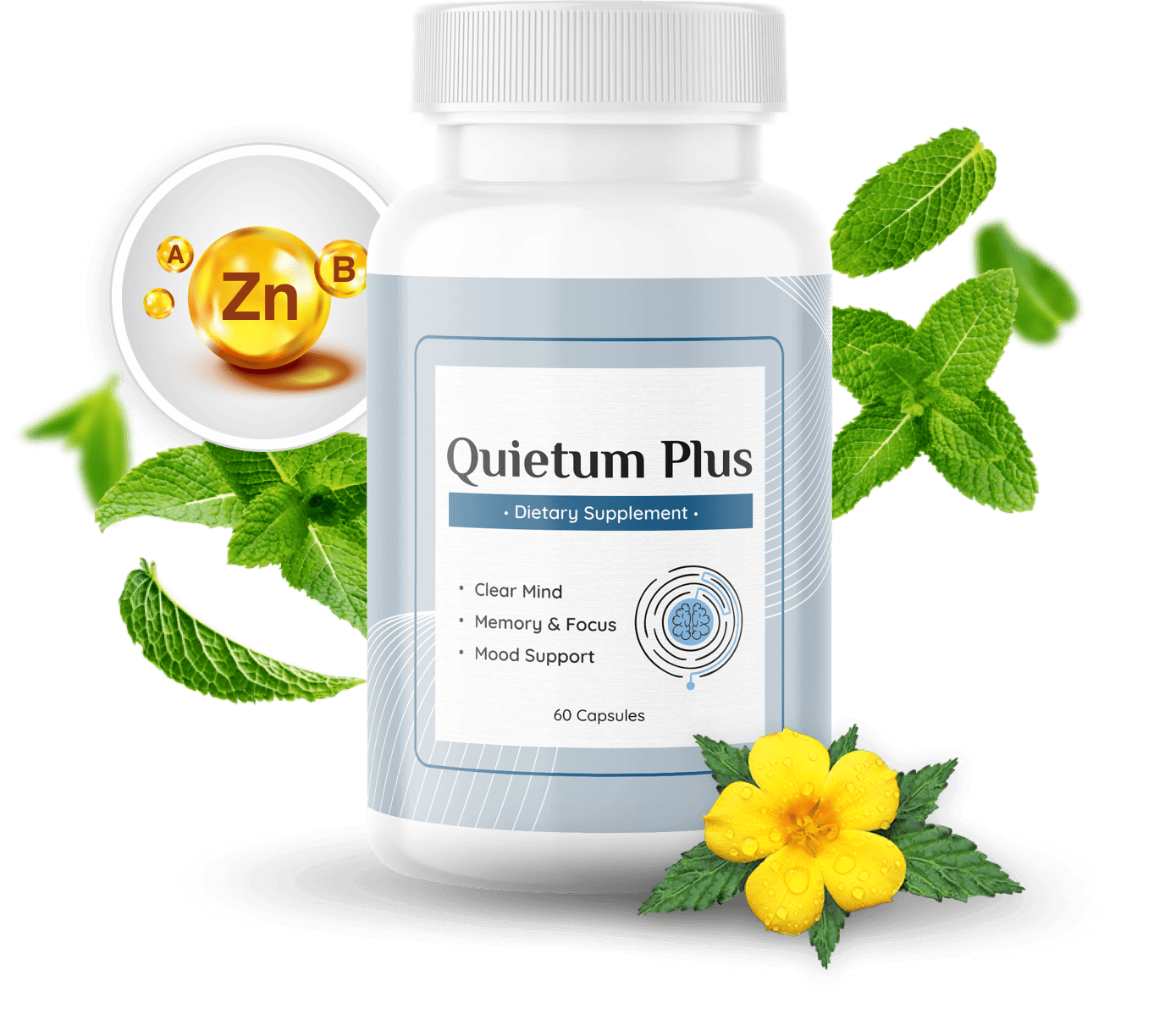 Quietum Plus Tinnitus Supplement health